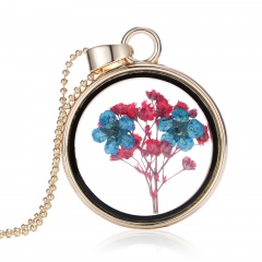 New Natural Real Dried Flower Resin Round Glass Floating Locket Pendant Necklace Red+Blue flower