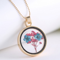 Round photo frame dried flower specimen necklace (Pendant size: 4*2.7cm, chain length: 60cm) D