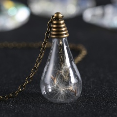 Fashion Natural Dried Flower Dandelion Pendant Necklace Real Round Heart Glass Locket Waterdrop