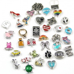 50pcs Locket Charms Accessories Mix Color and Style DIY Jewelry Accessories 50pcs