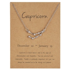 12 Constellations Silver Crystal Zodiac Sign Pendant Necklace Women Card Jewelry Capricorn