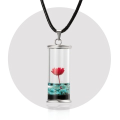 Dried Daisy Glass Floating Lockets Pendant Necklace Dried Flower Snow Mountain Wood Drifting Bottle Necklace Wish Bottle Jewelry red