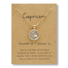 Fashion Gold Charm Necklace Daytime Twelve Constellation Paper Card Alloy Pendant Necklace Jewelry Capricorn