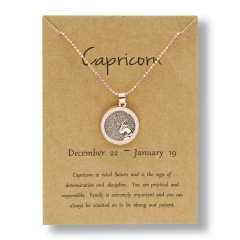Fashion Rose Gold Charm Necklace Daytime Twelve Constellation Paper Card Alloy Pendant Necklace Jewelry Capricorn