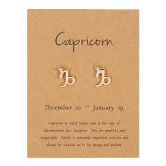 Symbol version of twelve zodiac paper card earrings Capricorn