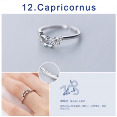 12 Constellation Silver Opening Adjustable Diamond Rings Capricorn