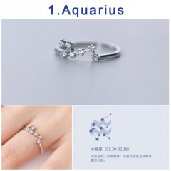 12 Constellation Silver Opening Adjustable Diamond Rings Aquarius
