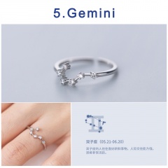 12 Constellation Silver Opening Adjustable Diamond Rings Gemini