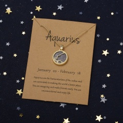 Golden night twelve constellations paper card necklace (Pendant size: 1.7*2cm, chain length: 45+5cm, paper jam: 9.5*7cm) Aquarius
